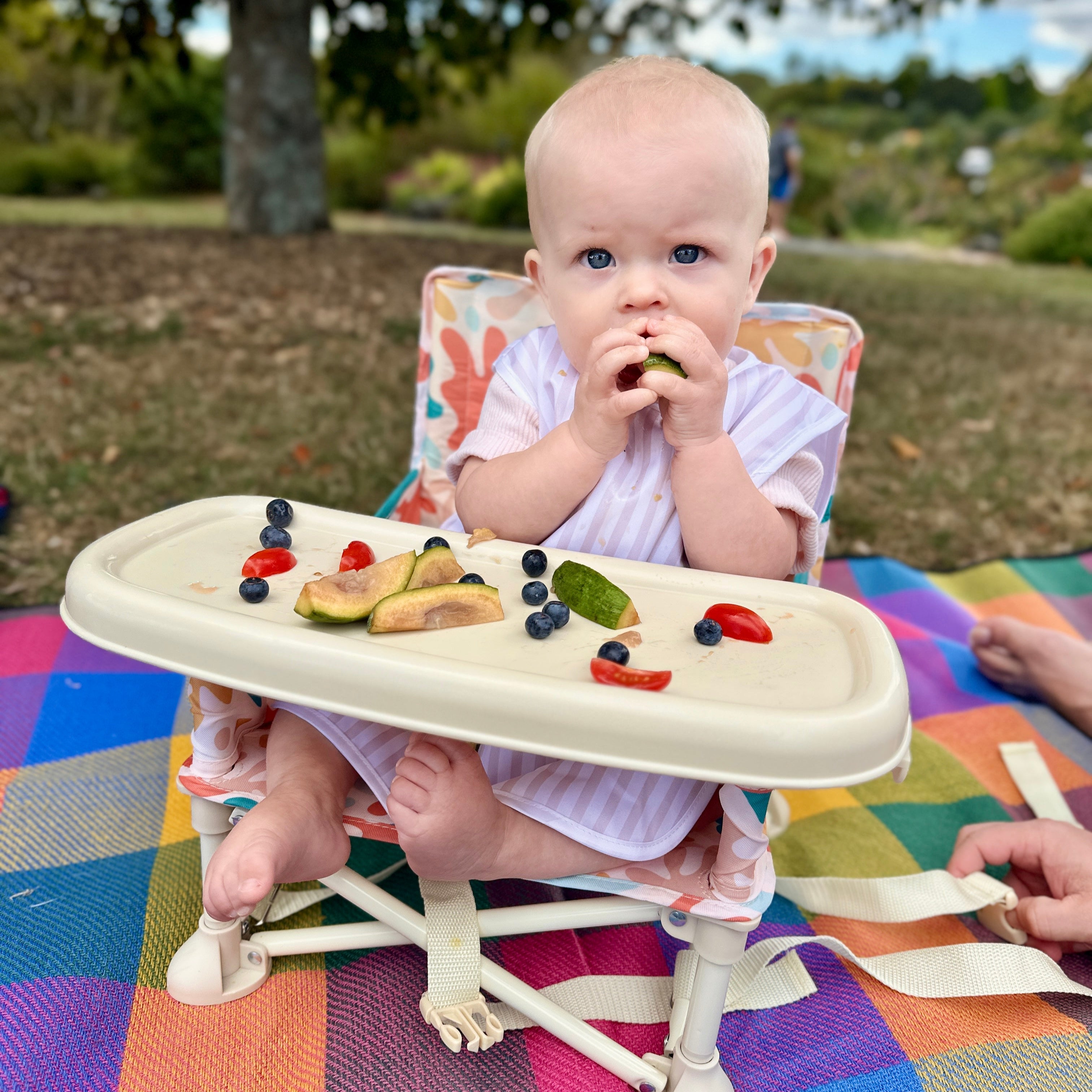 Sunkissed Portable Baby Highchair